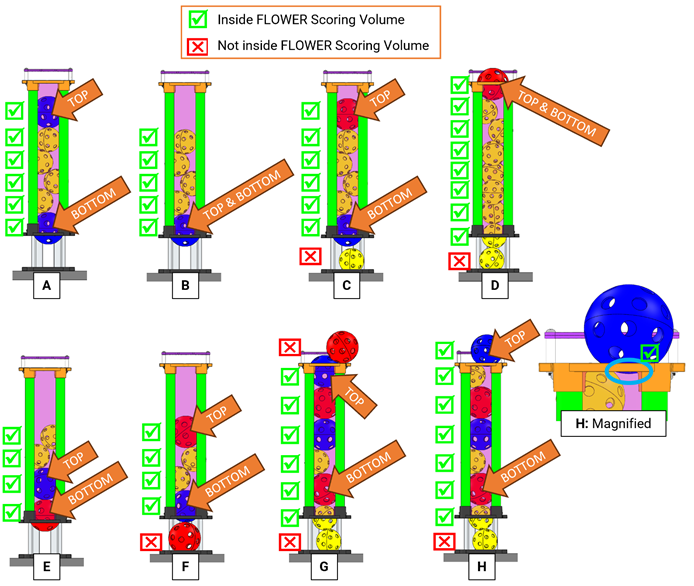 Diagram showing details on Flower Ownership. 